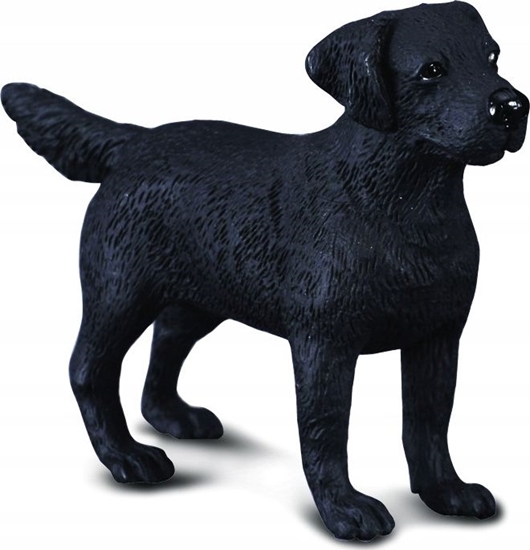 Изображение Figurka Collecta PIES LABRADOR (M)