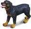 Изображение Figurka Collecta Pies rasy Rottweiler (004-88189)
