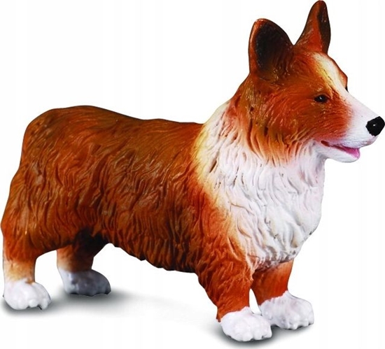 Изображение Figurka Collecta PIES WELSH CORGI (M)