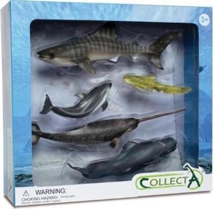 Изображение Figurka Collecta Zestaw 5 morskich zwierząt w opakowaniu 89671 COLLECTA