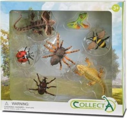 Изображение Figurka Collecta Zestaw 7 insektów w opakowaniu 89819 COLLECTA