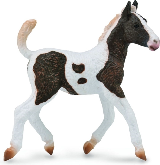 Picture of Figurka Collecta rebi rasy Bashkir Curly (004-88781)