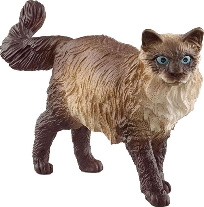 Attēls no Figurka Schleich Kot ragdoll