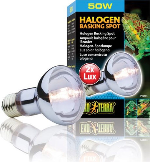Picture of Hagen EXOTERRA ARÓWKA HALOGEN SPOT 50W