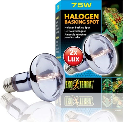 Attēls no Hagen EXOTERRA ARÓWKA HALOGEN SPOT 75W