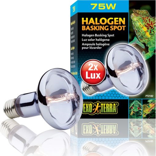 Picture of Hagen EXOTERRA ARÓWKA HALOGEN SPOT 75W