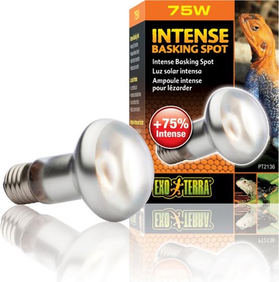 Изображение Hagen EXOTERRA ARÓWKA INTENSE SPOT 75W