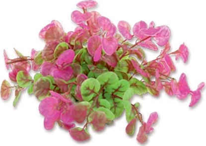 Picture of Happet HAPPET ROLINA FOLIA 10CM / 1F11