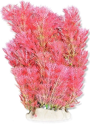 Attēls no Happet HAPPET ROLINA FOLIA 20CM / 2F16