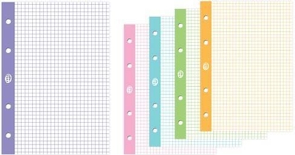 Attēls no Interdruk Wkad do segregatora A4/50K kratka kolor (5szt) (236037)