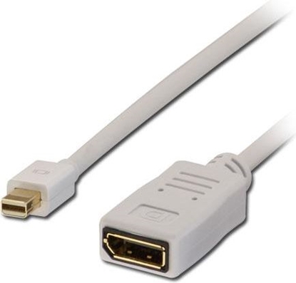 Picture of Kabel Lindy DisplayPort Mini - DisplayPort 1.5m biały