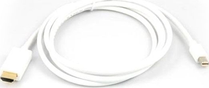 Picture of Kabel LMP DisplayPort Mini - DisplayPort 1.8m biały (LMP-MDPDP)