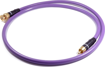 Picture of Kabel Melodika RCA (Cinch) - BNC 0.75m fioletowy