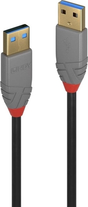 Picture of Lindy 0,5m USB 3.2 Type A Cable, Anthra Line