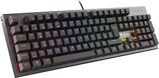 Picture of Klawiatura Genesis Thor 300 RGB Outemu Red (NKG-1818)