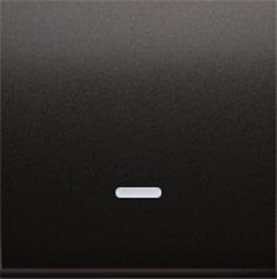 Picture of Kontakt-Simon Klawisz pojedynczy Simon 54 z oczkiem do czników i przycisków podwietlanych antracyt (DKW1L/48)