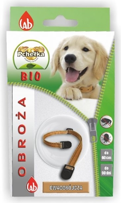 Picture of LAB PCHEKA BIO OBROA PIES 60cm