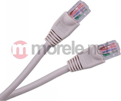 Attēls no LechPol KPO2779-10