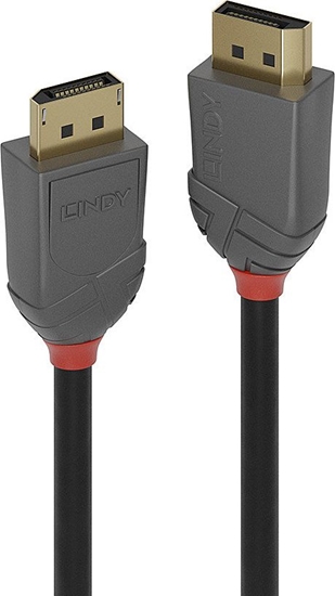 Изображение Lindy 10m DisplayPort 1.2 Cable, Anthra Line