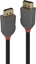 Attēls no Lindy 10m DisplayPort 1.2 Cable, Anthra Line