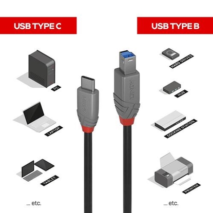 Picture of Lindy 3m USB 3.2 Type C to B Cable, Anthra Line