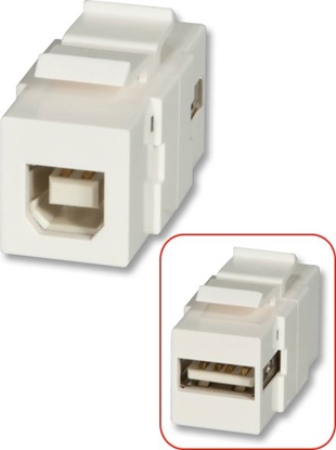 Picture of Lindy USB-A/B Double Female keystone