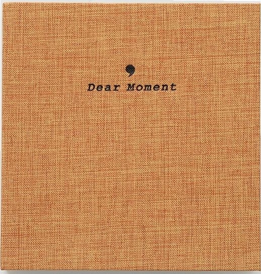 Picture of LoveInstant Album May na 100 Zdj do INSTAX Mini 7 8 9 11 90 / Brzowy