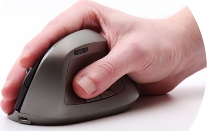 Attēls no Mysz Ordissimo Ergonomic (ART0391)