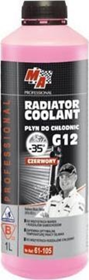 Изображение Moje Auto MA PROFESSIONAL PYN DO CHODNIC SAMOCHODOWYCH CZERW. G12 1L