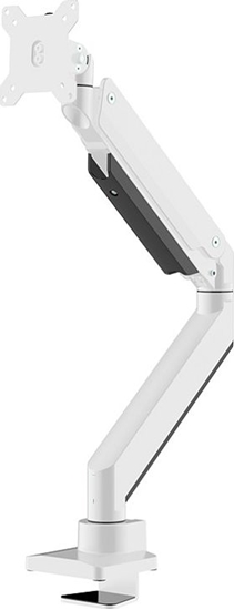 Picture of MONITOR ACC DESK MOUNT 10-49"/NM-D775WHITEPLUS NEOMOUNTS