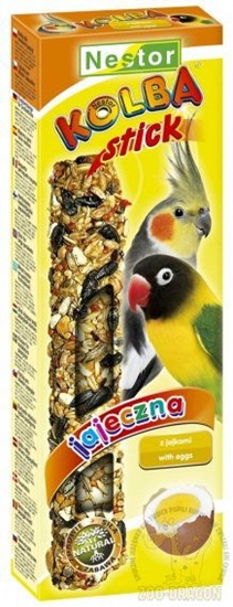 Picture of Nestor KOLBA PAPUGA REDNIA JAJECZNA