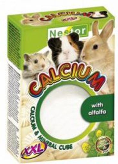 Picture of Nestor WAPNO D/GRYZONI XXL Z LUCERNA