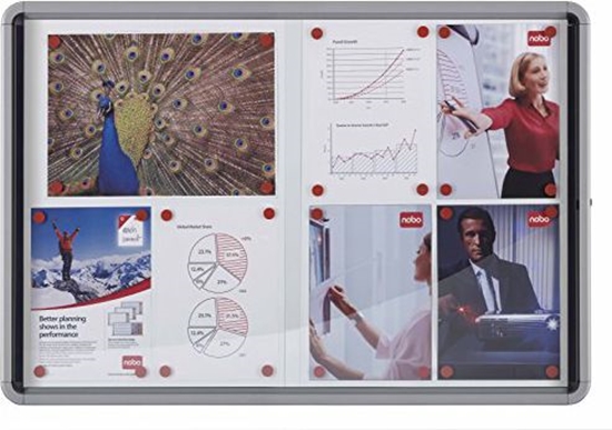 Picture of Nobo Gablota (1902609)