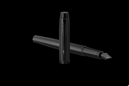 Attēls no Parker PIORO W PAR IM ACHROMATIC CZAR MAT ETUI (2127741) - 467311