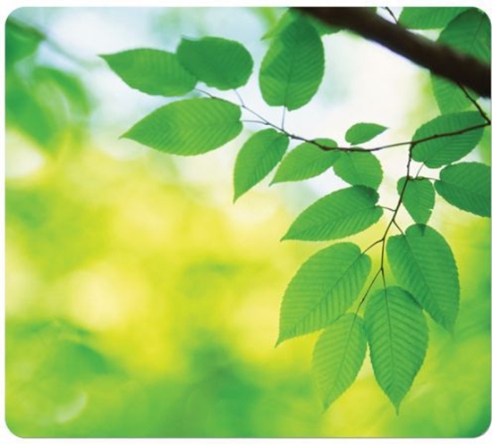 Picture of Fellowes Earth Series Mousepad Leaves