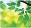 Attēls no Fellowes Earth Series Mousepad Leaves