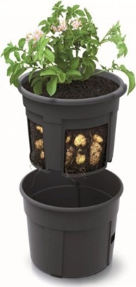 Изображение ProGarden DONICZKA DONICA DO UPRAWY ZIEMNIAKÓW WARZYW 12L () - 1157142