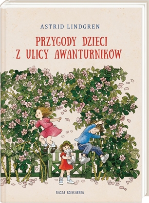 Picture of Przygody dzieci z ulicy Awanturników