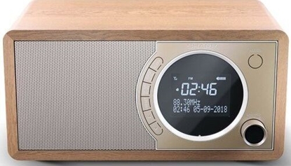 Изображение Radio Sharp DR-450