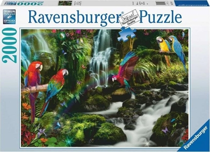 Picture of Ravensburger Puzzle 2000el Papugi w dżungli 171118 RAVENSBURGER