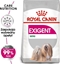 Изображение Royal Canin Royal Canin Mini Exigent karma sucha dla psów dorosych, ras maych, wybrednych 1kg