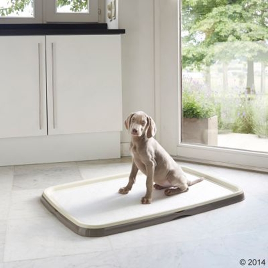 Picture of Savic Kuweta Dla Szczenit Dua 62x48cm Puppy Trainer Starter Kit Large