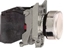 Изображение Schneider Electric Przycisk sterowniczy 22mm biały 1Z 1R z samopowrotem z podświetleniem (XB4BW3165)