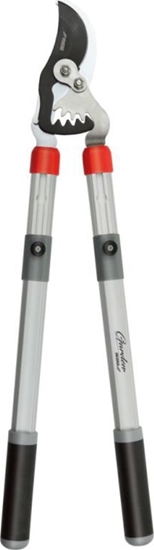 Изображение Sekator Dedra 80A022 noycowy