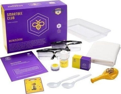 Изображение SmartBee Eksperymenty naukowe niegologia