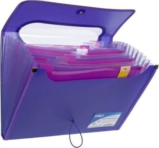 Picture of Strigo Teczka A4 z 12 przekadkami V-file fiolet STRIGO