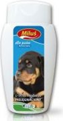 Attēls no Super Benek SZAMPON MILU ALOESOWY DLA PSA 200ml