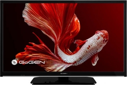 Picture of Telewizor GoGEN TVH 24P406 STC LED 24'' HD Ready