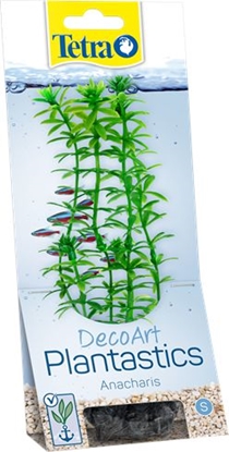 Picture of Tetra DecoArt Plant S Anacharis