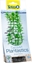Изображение Tetra DecoArt Plant S Anacharis